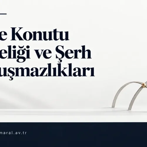 Konut niteliği ve şerh uyuşmazlıklarını anlatan üç satırlık lacivert başlığın altında geniş bir boşluk, sağında gümüş kemerler görülüyor.